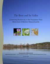 The River and Its Valley report